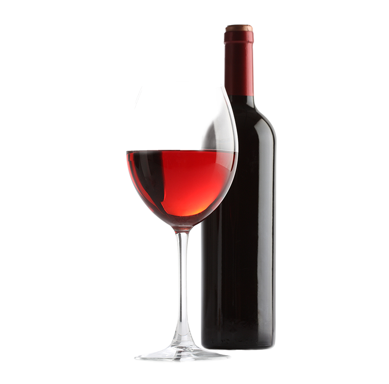Una inmersión en el mundo del vino