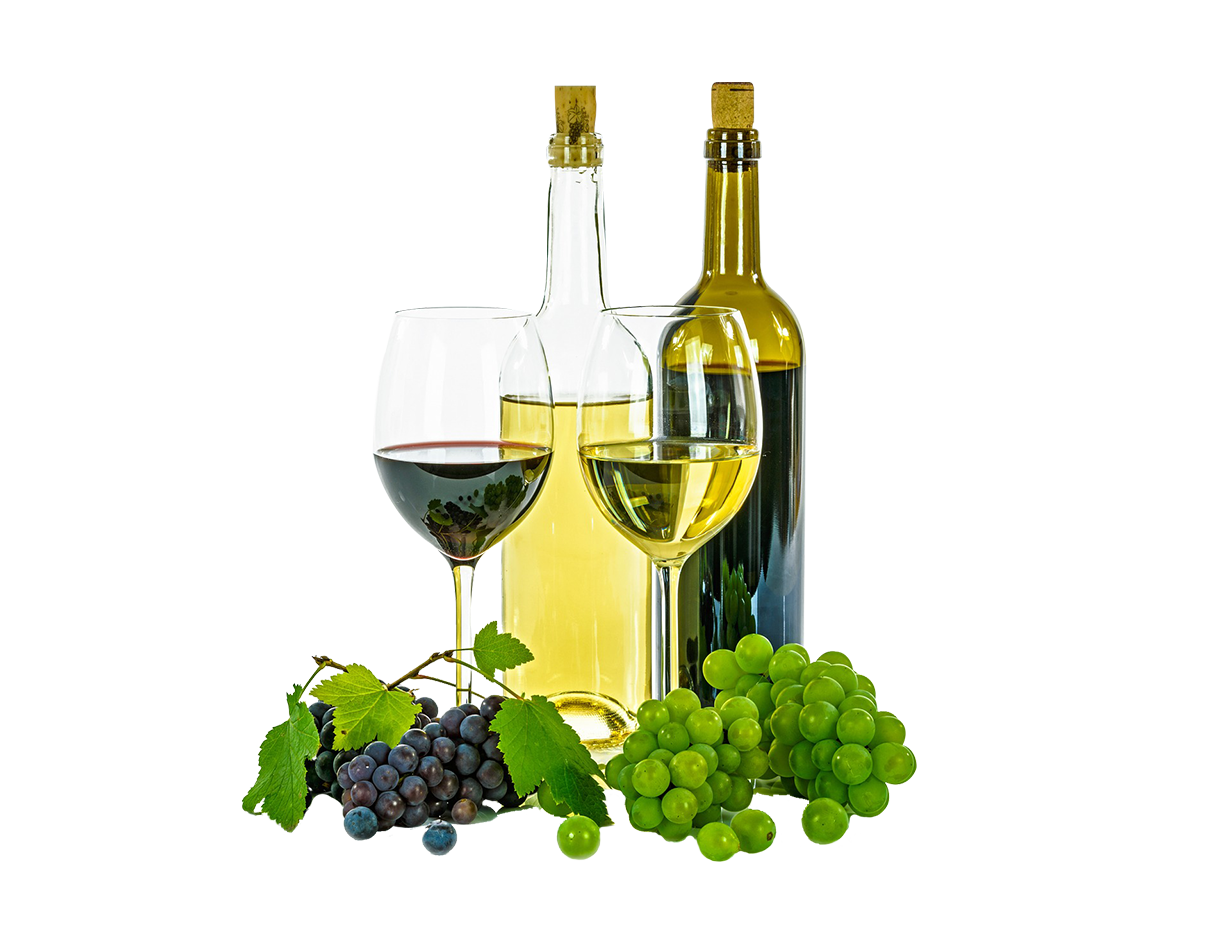 Vinos, sabores y aromas